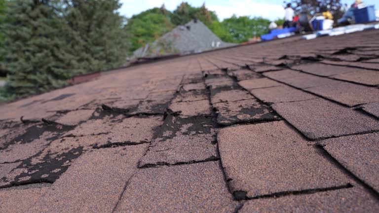 Best Metal Roofing Installation  in Balmville, NY